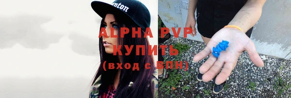 сатива Гусев