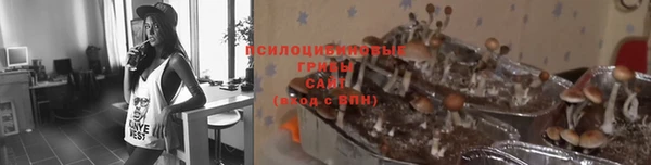 круглые Дмитриев