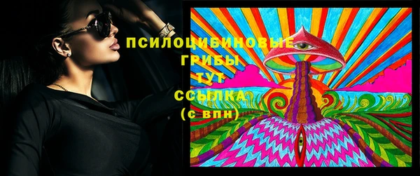 сатива Гусев