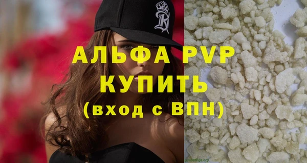 сатива Гусев